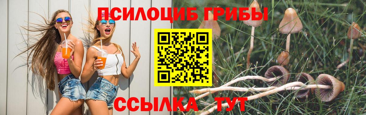 Галлюциногенные грибы Psilocybine cubensis Аргун