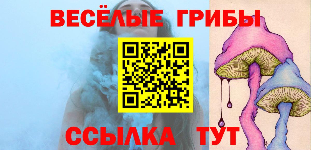 Псилоцибиновые грибы Psilocybe  Вход с VPN  Аргун  Галлюциногенные грибы Cubensis 